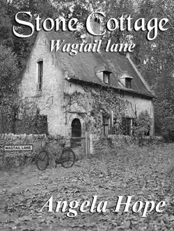 stone cottage. wagtail lane book cover image