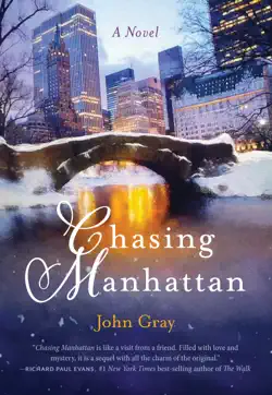 chasing manhattan book cover image