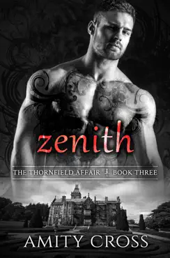 zenith book cover image
