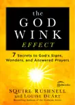 The Godwink Effect synopsis, comments
