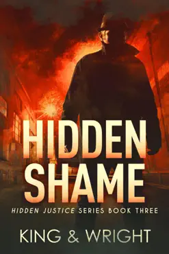 hidden shame book cover image