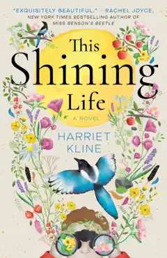 this shining life book cover image