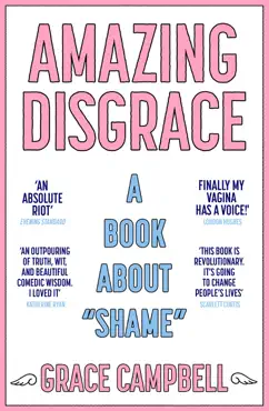 amazing disgrace book cover image