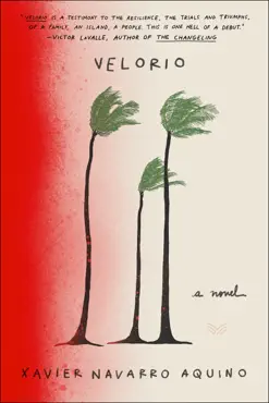 velorio book cover image