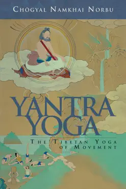 yantra yoga book cover image