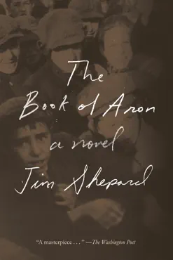 the book of aron book cover image