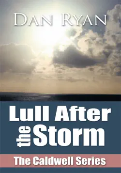 lull after the storm book cover image