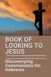 Book Of Looking To Jesus Discoverying Commentary On Hebrews synopsis, comments