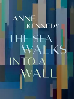 the sea walks into a wall book cover image