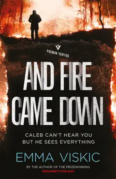and fire came down book cover image