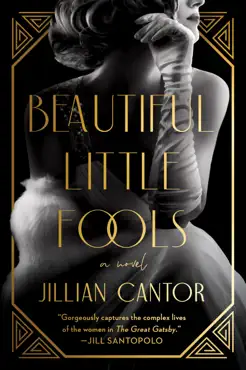 beautiful little fools book cover image