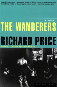 the wanderers book cover image