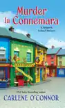 Murder in Connemara synopsis, comments