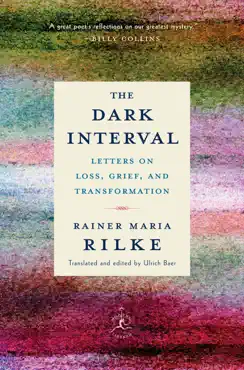 the dark interval book cover image