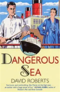 dangerous sea book cover image