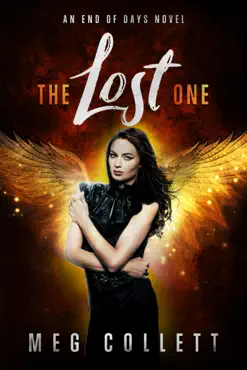 the lost one book cover image