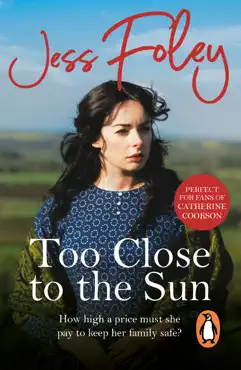 too close to the sun book cover image