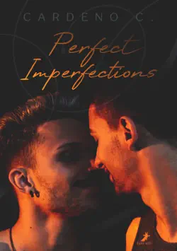 perfect imperfections book cover image