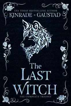 the last witch book cover image