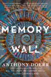 Memory Wall synopsis, comments