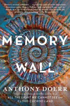 memory wall book cover image