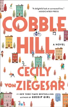 cobble hill book cover image