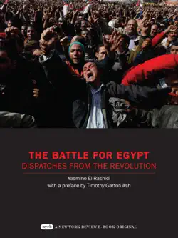 the battle for egypt imagen de la portada del libro