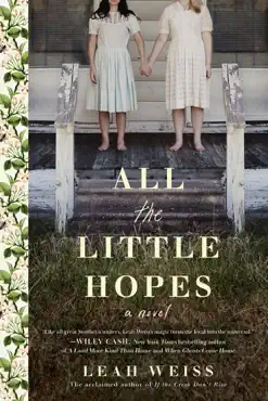 all the little hopes book cover image