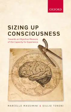 sizing up consciousness book cover image