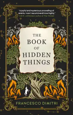 the book of hidden things book cover image