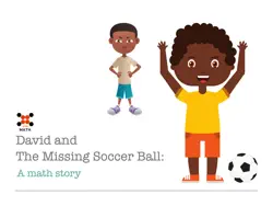 david and the missing soccer ball book cover image