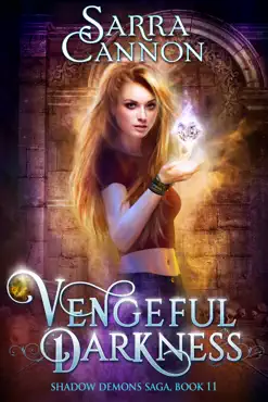 vengeful darkness book cover image