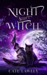 Night Shift Witch synopsis, comments