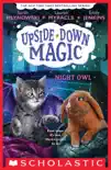 Night Owl (Upside-Down Magic #8) book summary, reviews and download