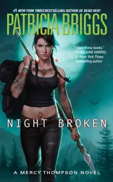 night broken book cover image