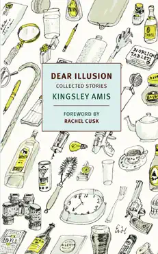 dear illusion book cover image