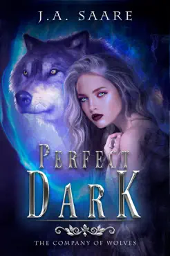 perfect dark book cover image