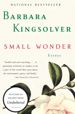 small wonder book cover image
