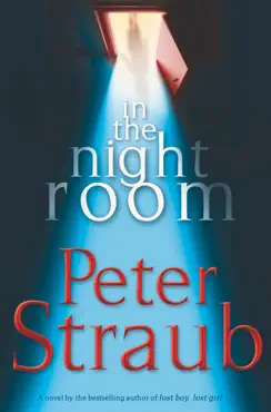 in the night room book cover image
