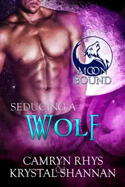 seducing a wolf imagen de la portada del libro