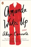 Amanda Wakes Up synopsis, comments