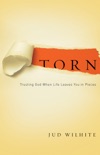 Torn book summary, reviews and downlod