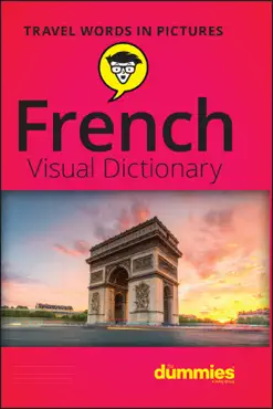 french visual dictionary for dummies book cover image