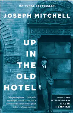up in the old hotel book cover image