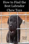 How to Find the Best Labrador Chew Toys synopsis, comments