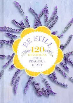 be still book cover image