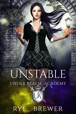 unstable book cover image
