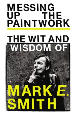 messing up the paintwork book cover image