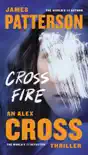 Cross Fire synopsis, comments