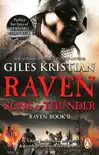 Raven 2: Sons of Thunder sinopsis y comentarios